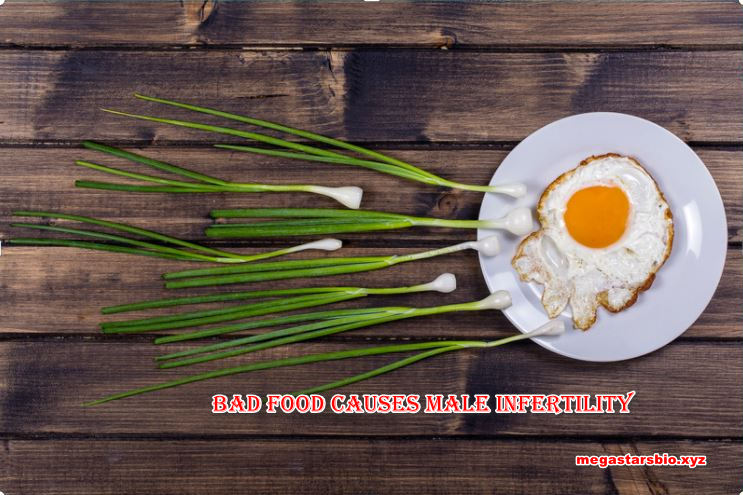 Bad food habits Cause Male Infertility