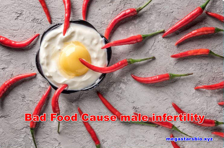 Can Bad food Cause Men's Infertility