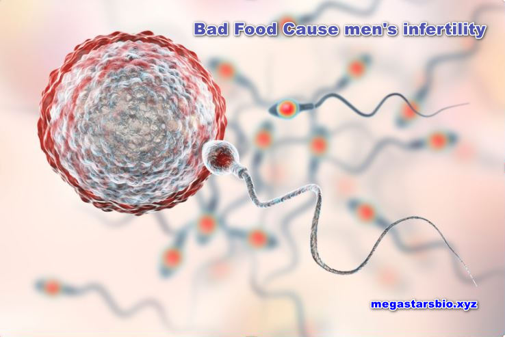 Men's Infertility Caused by Bad foods