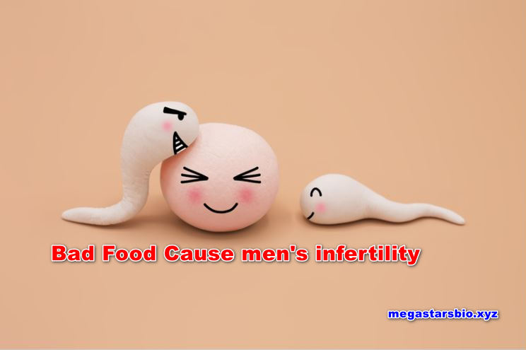 Wrong Food Cause less Sperm Count