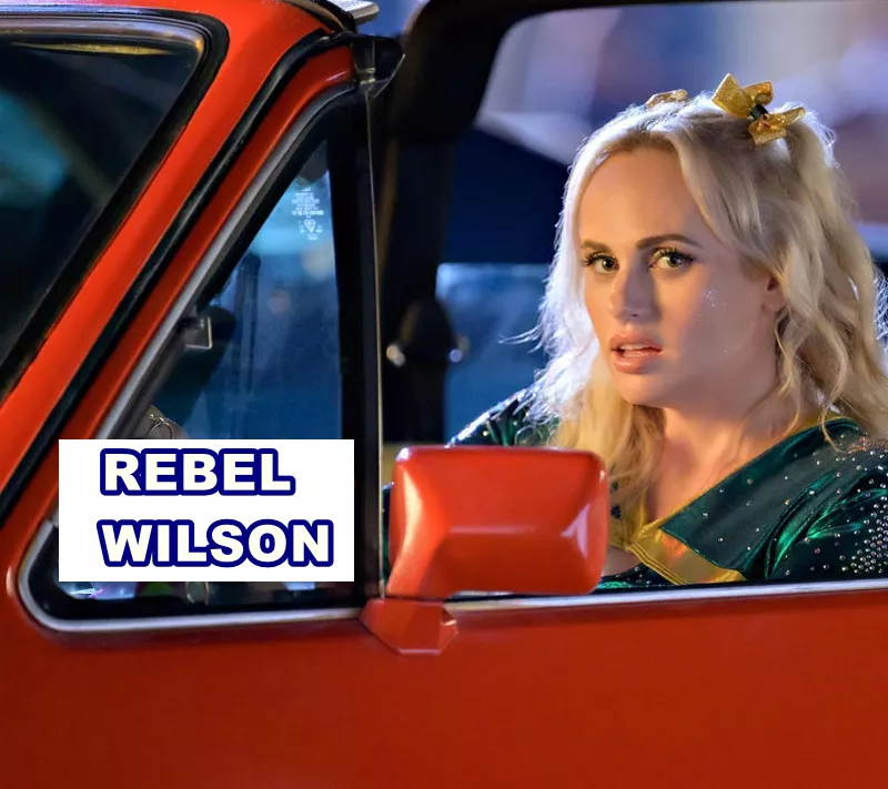 Rebel Wilson Comedian Actress